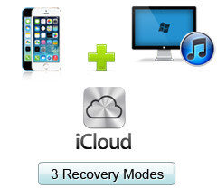 iPhone Recovery