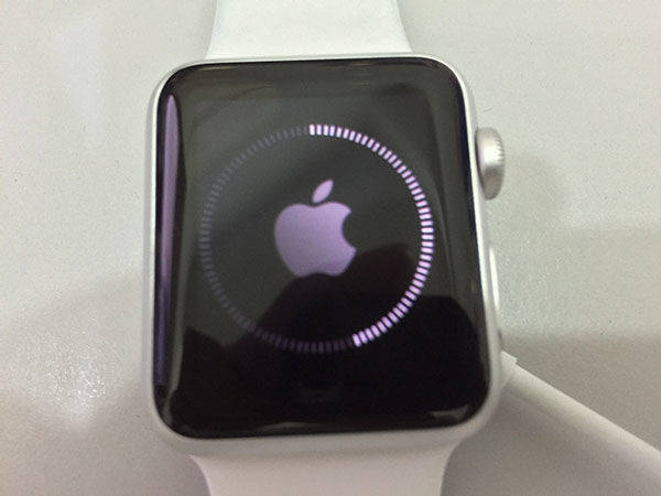 apple watch screen frozen